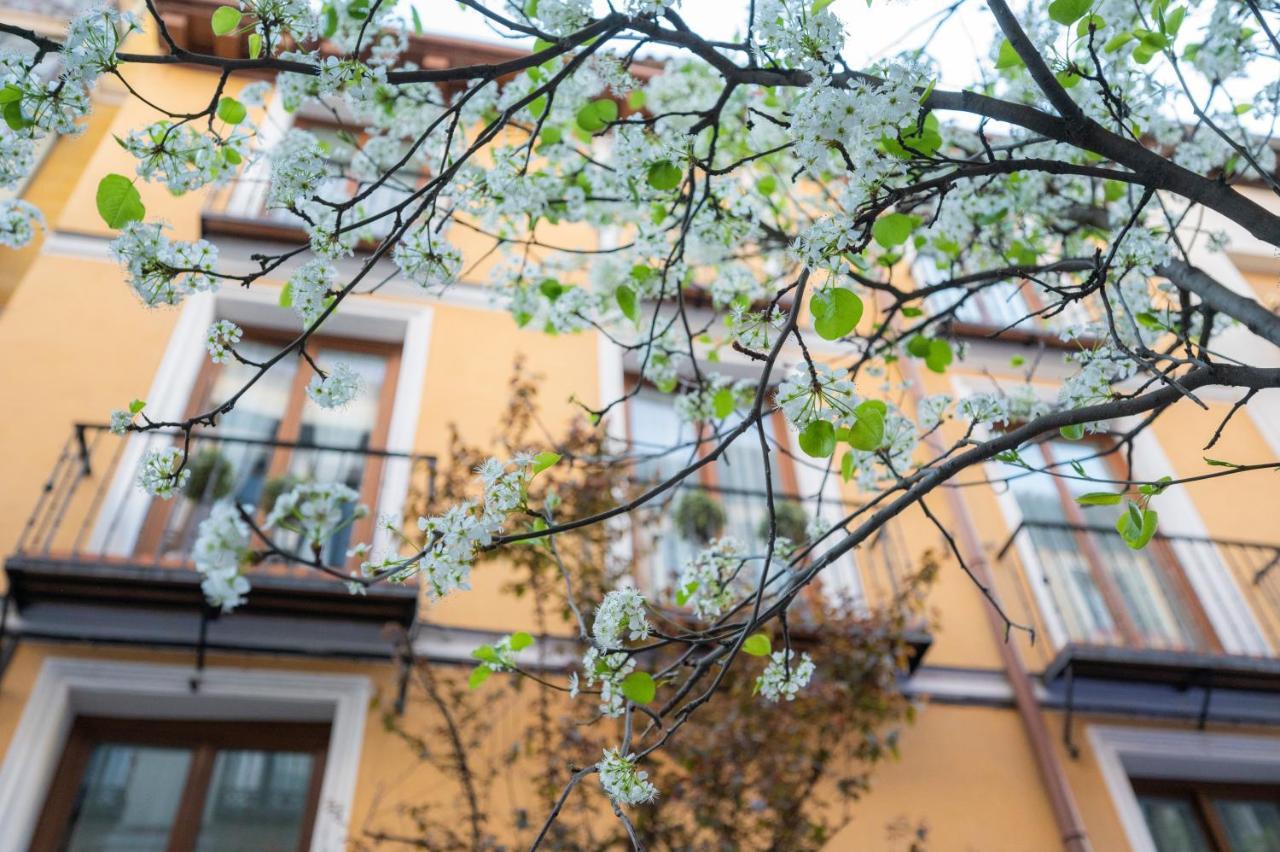 Apartamentos Huertas 马德里 外观 照片